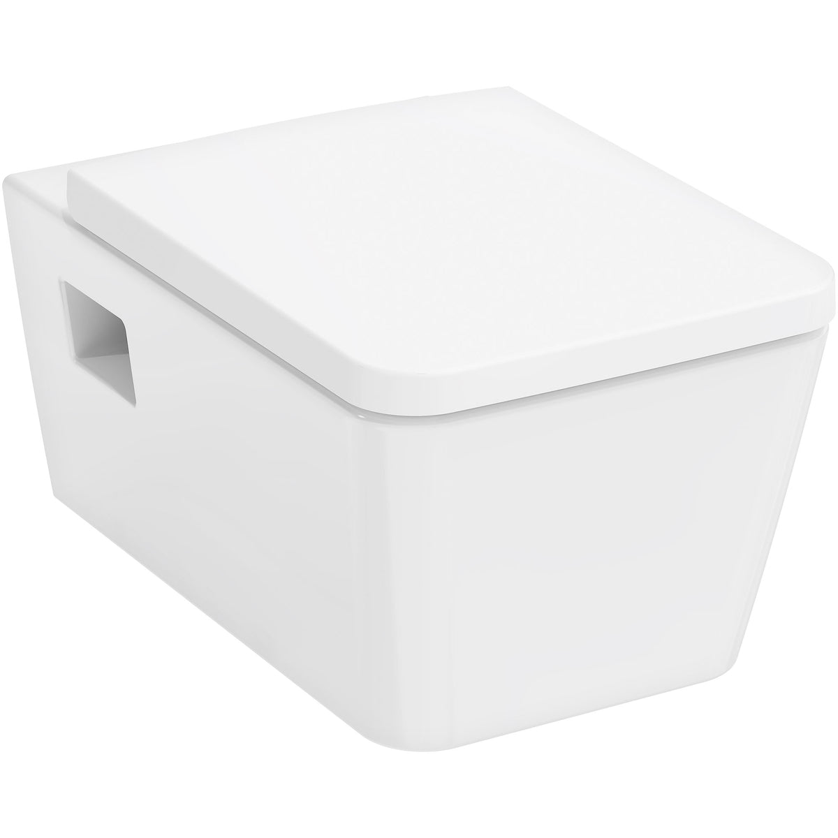 EluPura Original Q Wall hung WC Set AquaChannel Flush with WC seat and cover