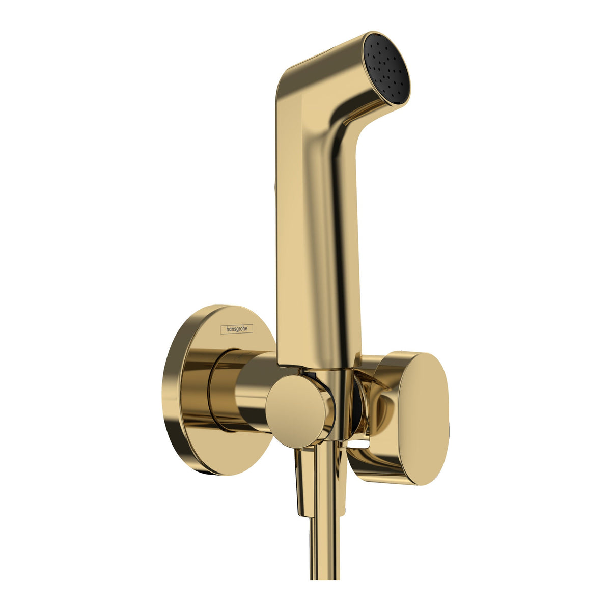 Hansgrohe Bidette hand shower 1jet S EcoSmart for warm water with shower holder and shower hose 125 cm Polished Gold Optic 29232990.jpg
