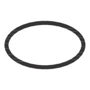 Hansgrohe O Ring 14x2 5mm 98189000.jpg