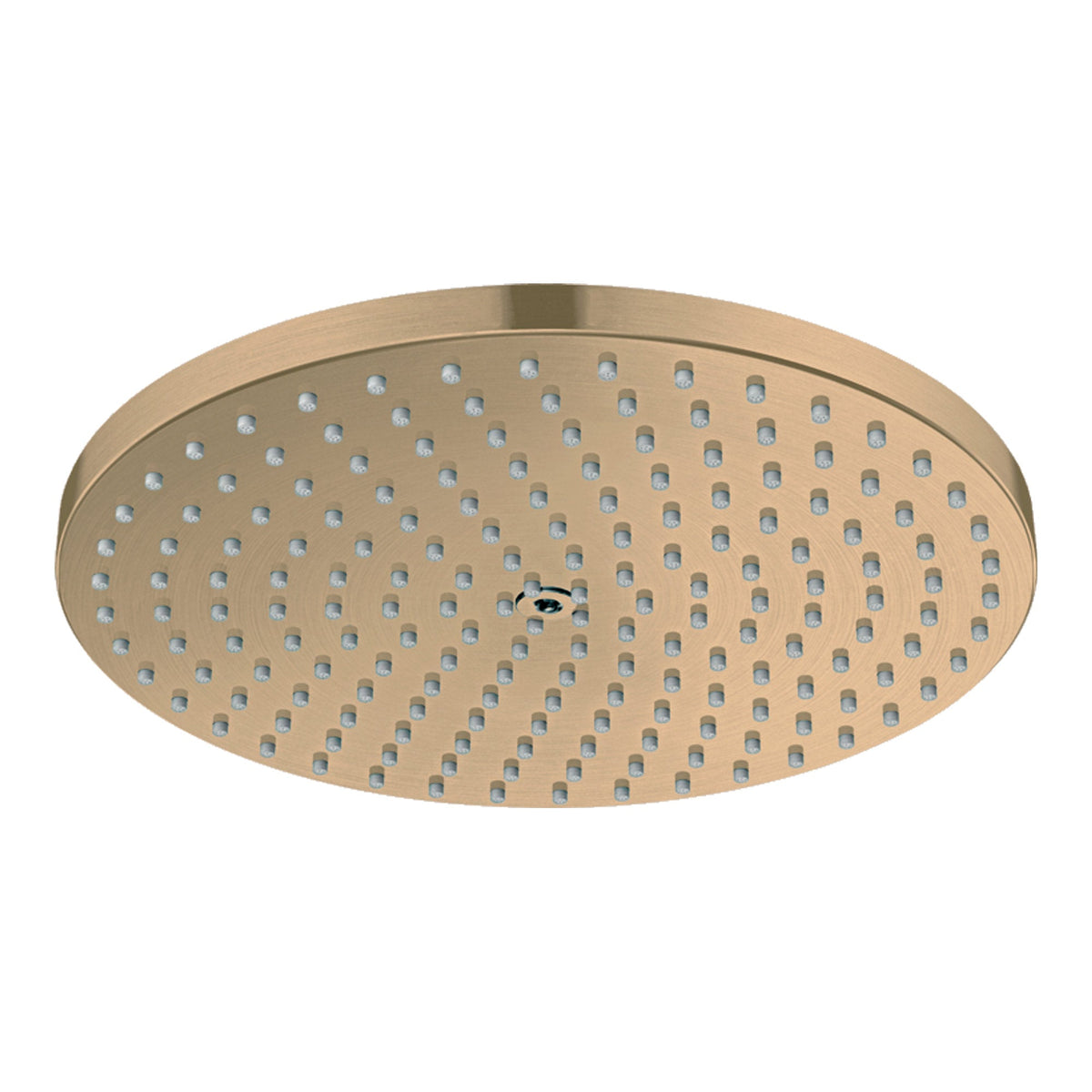 Hansgrohe Raindance S Overhead shower 240 1jet PowderRain EcoSmart Brushed Bronze 27624140.jpg