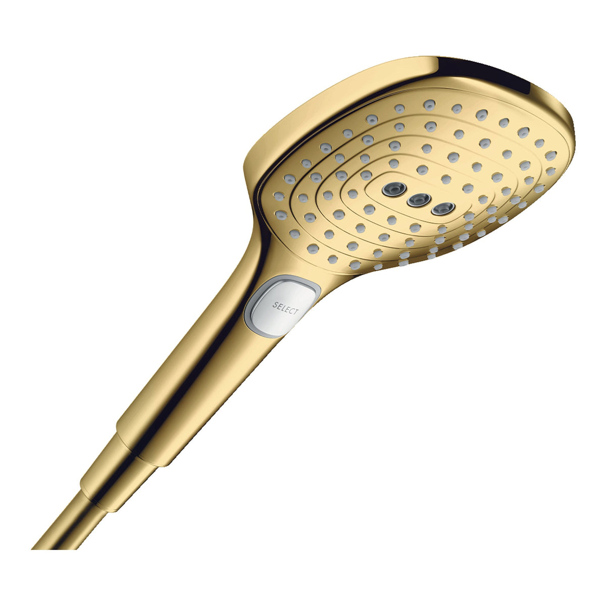Hansgrohe Raindance Select E Hand shower 120 3jet PowderRain EcoSmart Polished Gold Optic 28729990.jpg