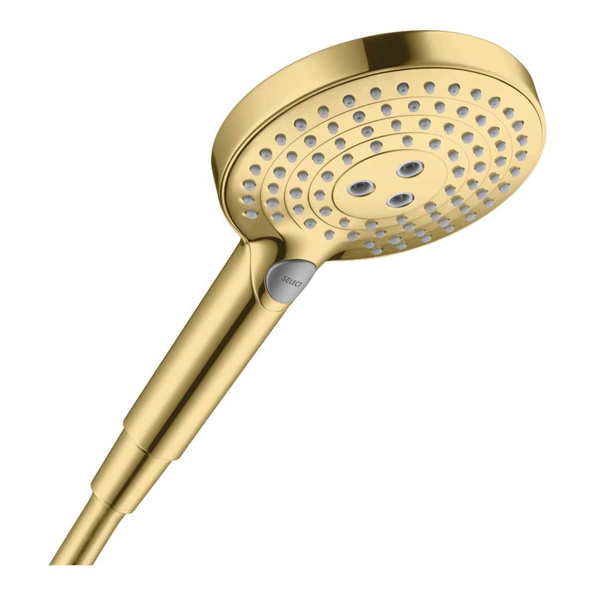 Hansgrohe Raindance Select S Hand shower 120 3jet EcoSmart Polished Gold Optic 26531990.jpg